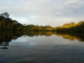 Yasuni Amazonie